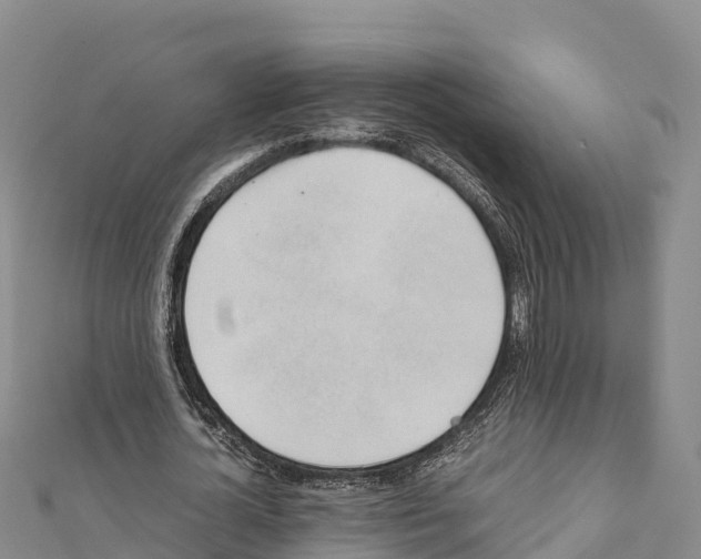 X0000111390724200908211401