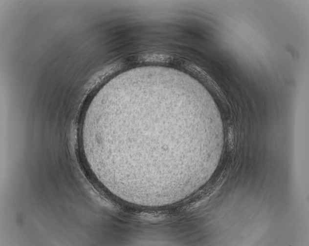 X0000111390725200908211401