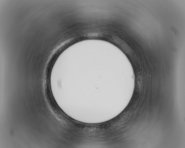 X0000111390728200908211401