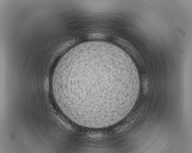 X0000111390729200908211401