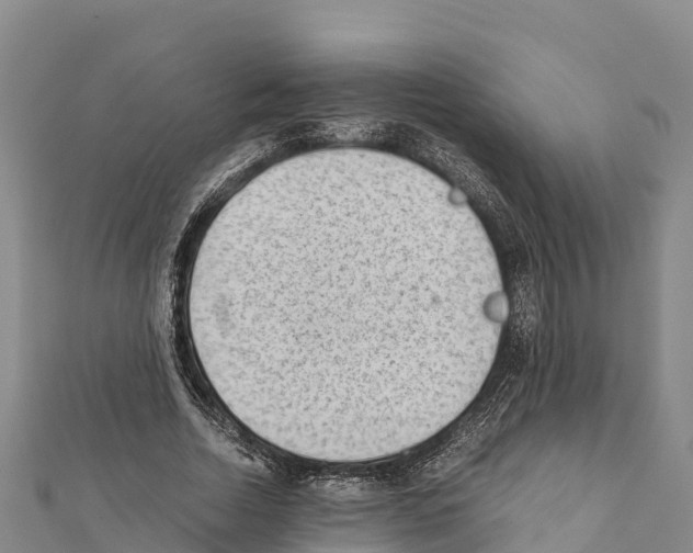 X0000111390730200908211401