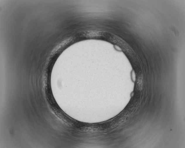 X0000111390732200908211401