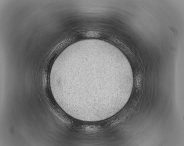 X0000111390733200908211401