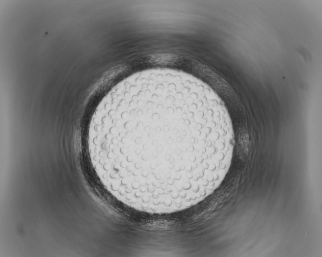 X0000111390734200908211401