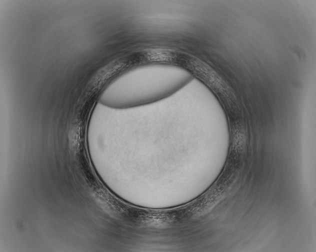X0000111390736200908211401