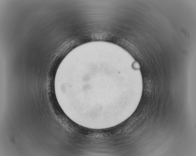 X0000111390738200908211401