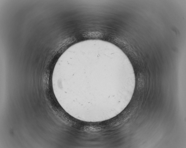 X0000111390739200908211401