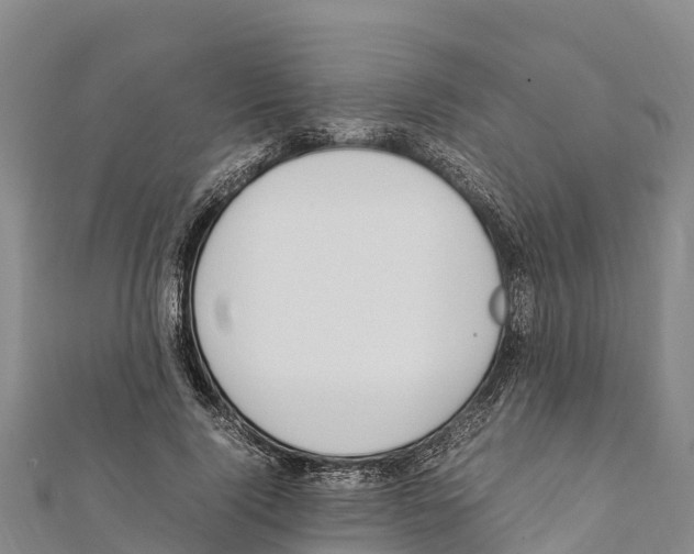 X0000111390740200908211401