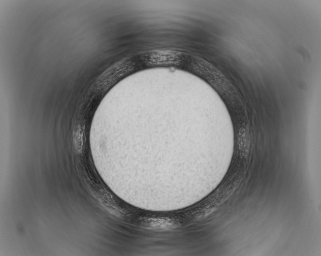 X0000111390741200908211401