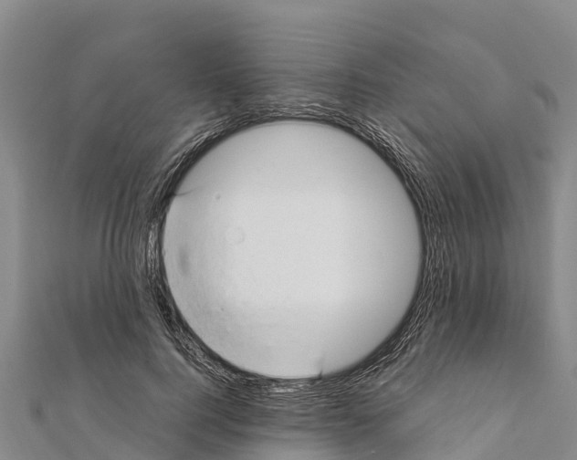 X0000111390744200908211401