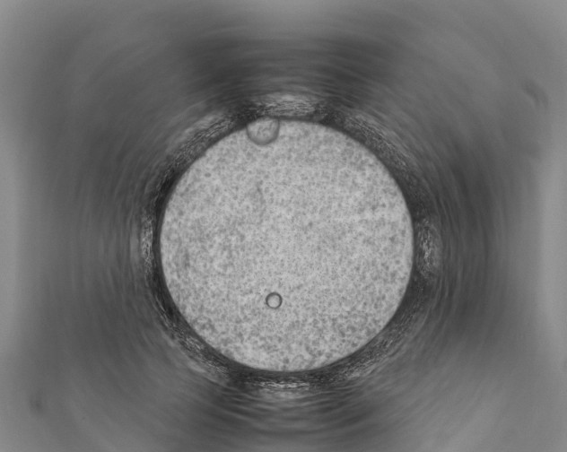 X0000111390745200908211401