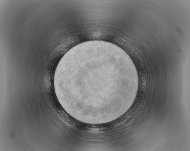 X0000111390746200908211401