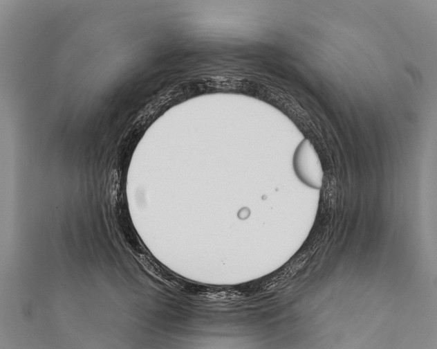 X0000111390752200908211401