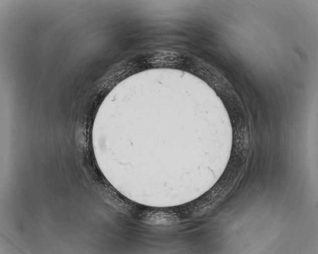 X0000111390755200908211401