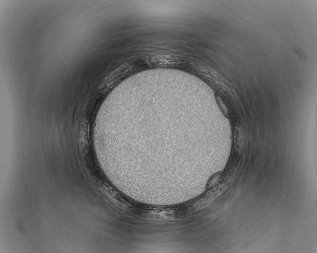 X0000111390760200908211401