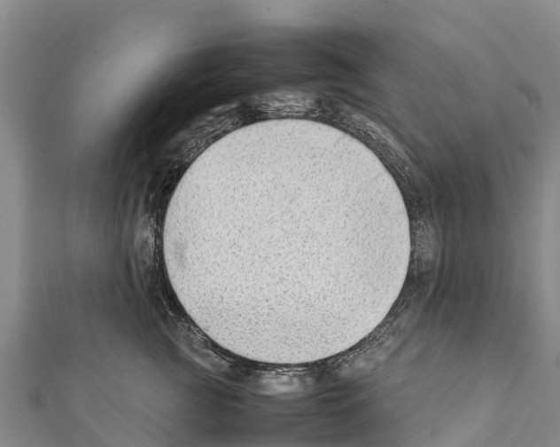 X0000111390761200908211401