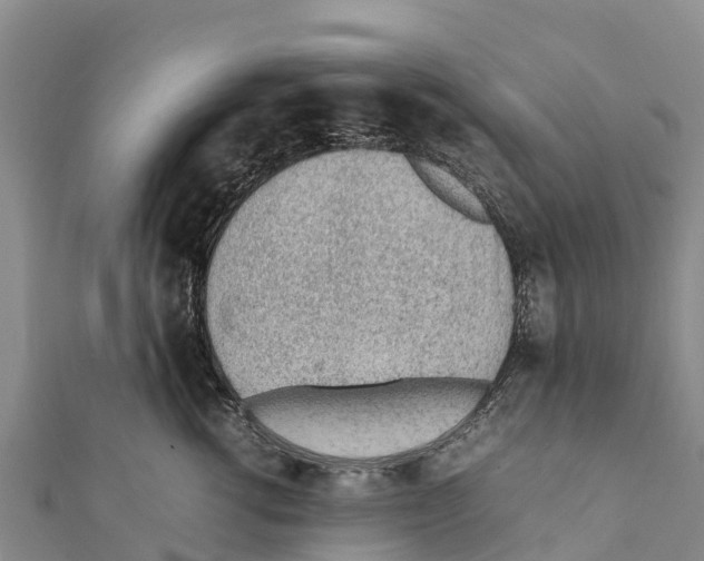 X0000111390762200908211401