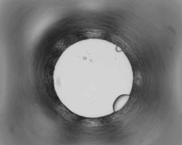 X0000111390763200908211401