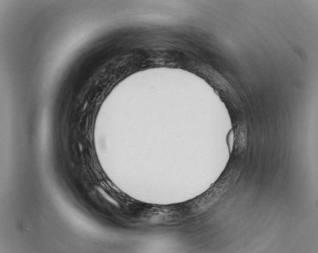 X0000111390764200908211401