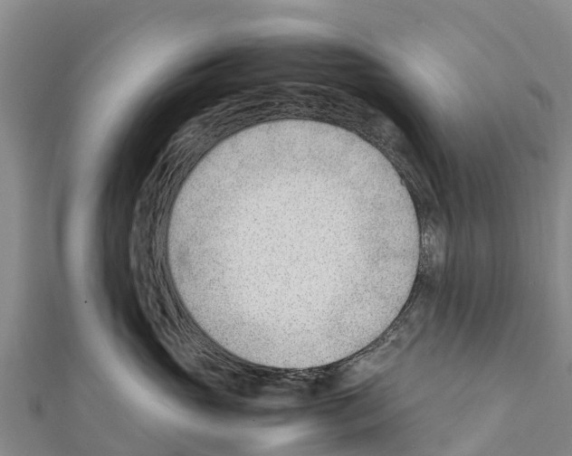 X0000111390765200908211401
