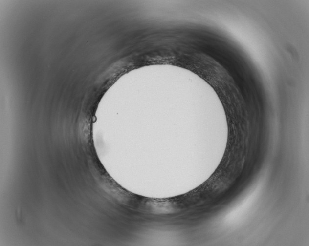 X0000111390767200908211401