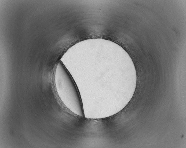 X0000111390768200908211402