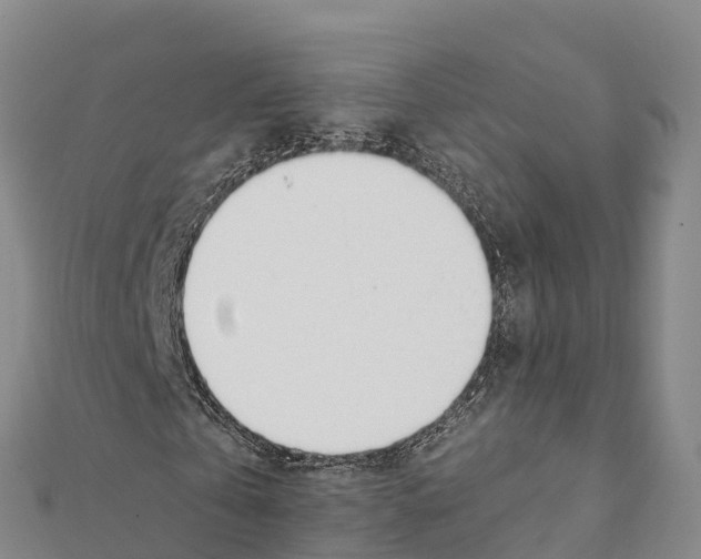 X0000111390769200908211401