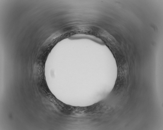 X0000111390773200908211401