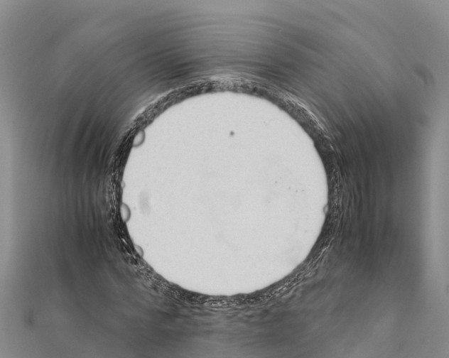 X0000111390776200908211401