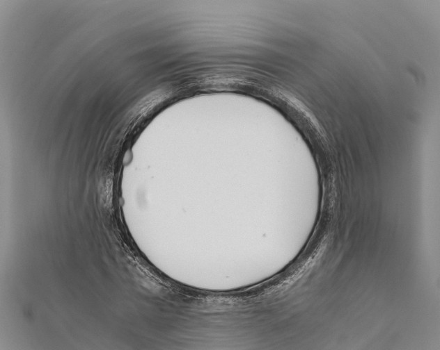 X0000111390777200908211401