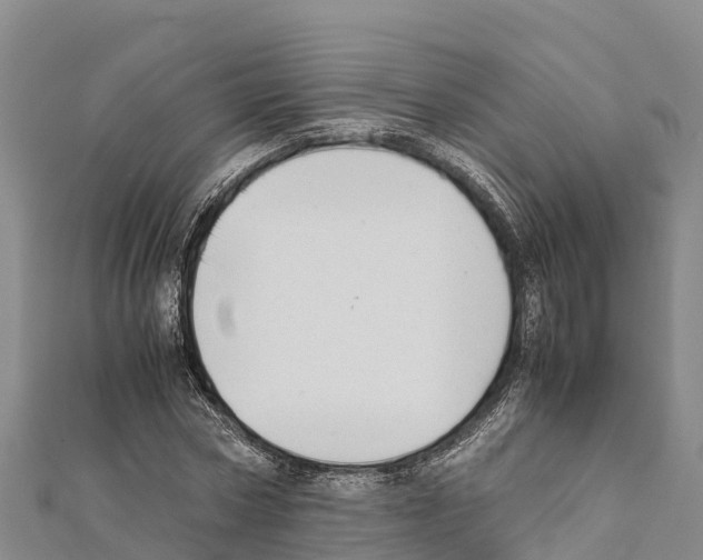X0000111390778200908211401