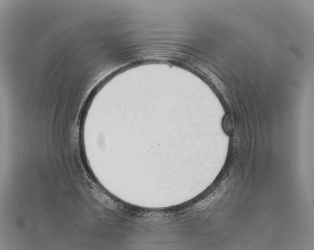 X0000111390779200908211401