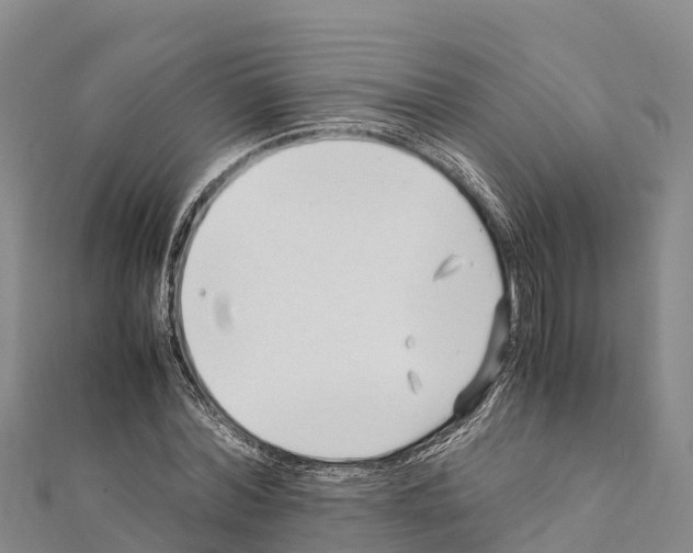 X0000111390780200908211401