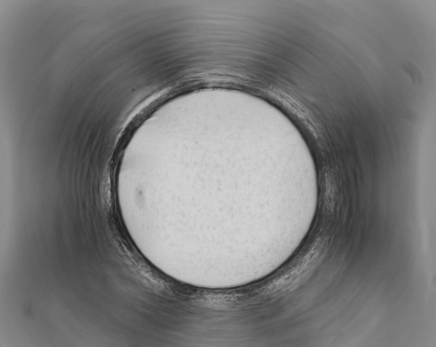 X0000111390782200908211401