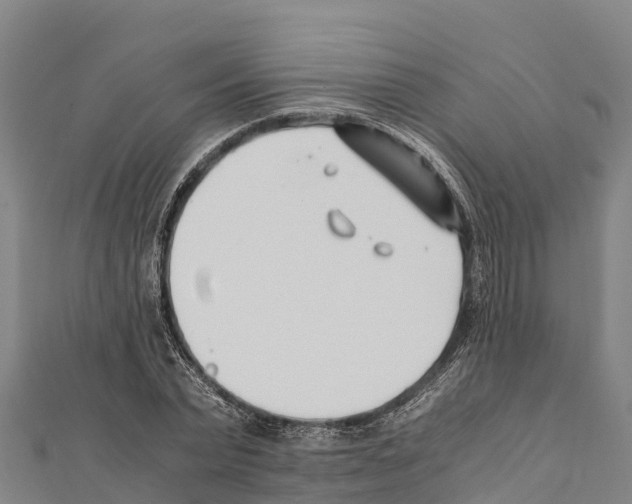 X0000111390783200908211401