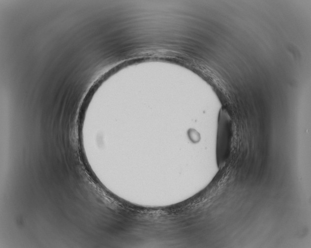 X0000111390784200908211401