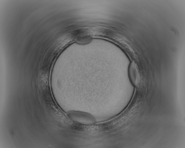 X0000111390785200908211401