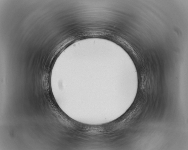 X0000111390786200908211401