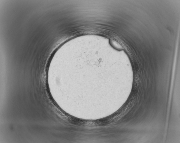 X0000111390787200908211401