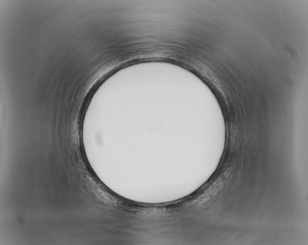 X0000111390789200908211401