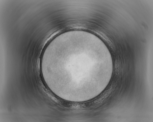 X0000111390790200908211401
