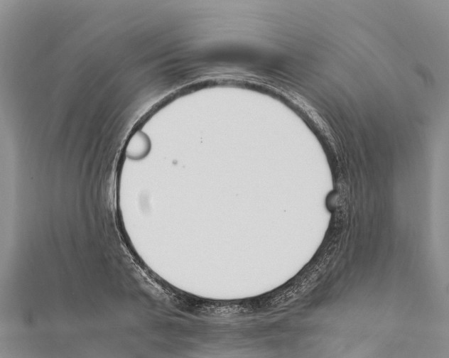 X0000111390791200908211401