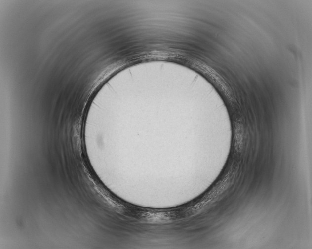 X0000111390794200908211400