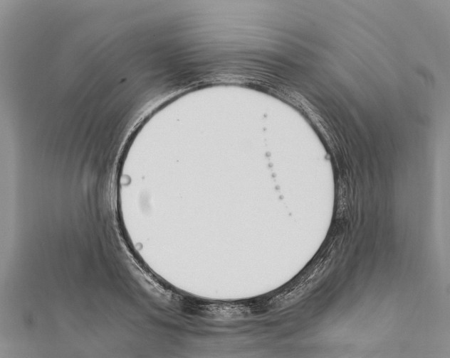 X0000111390795200908211400