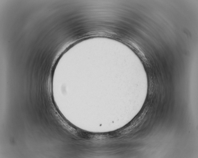 X0000111390796200908211400