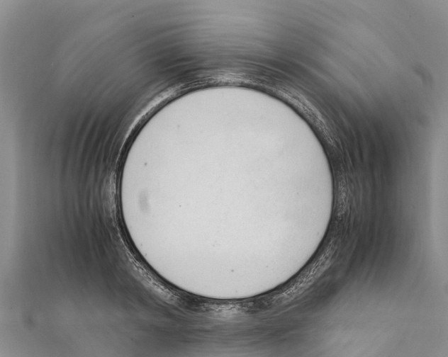X0000111390798200908211400