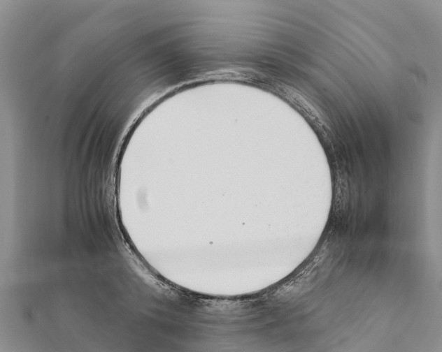 X0000111390800200908211400