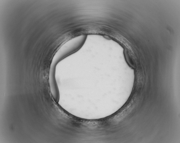 X0000111390801200908211400