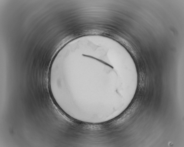 X0000111390802200908211400