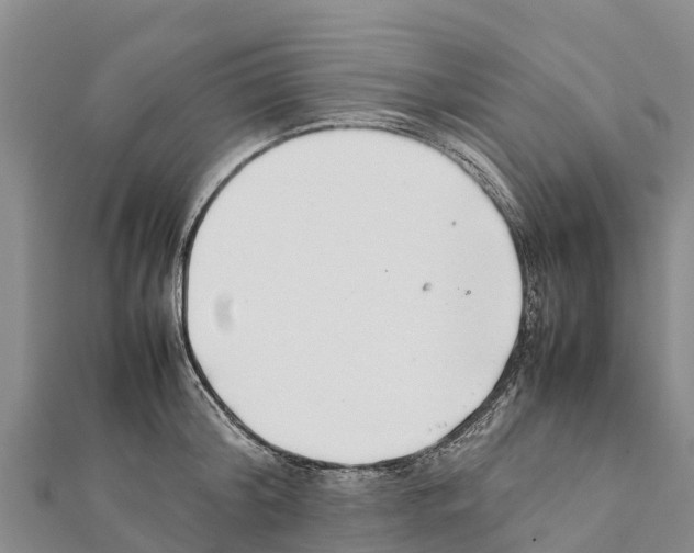 X0000111390804200908211400